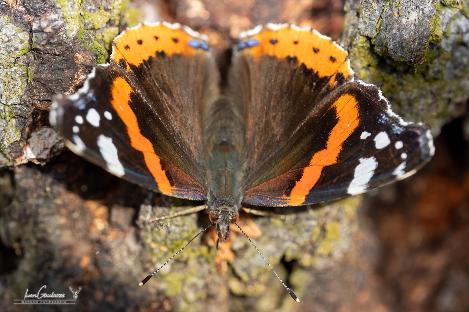 16 september 2023 122537  R2A2726 bewerkt